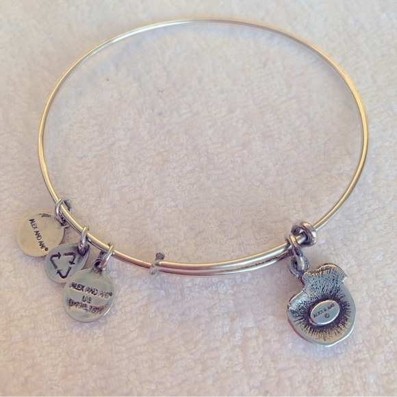 Alex and Ani Apple Charm Bracelet Silver Finish Expandable 2”- 3.5” - Picture 3 of 4